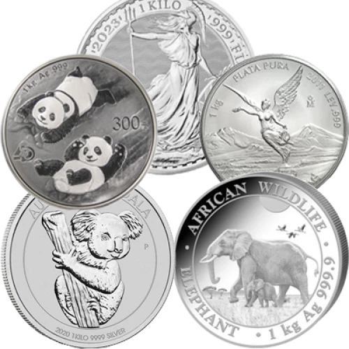 1kg Generic Silver Round (2)